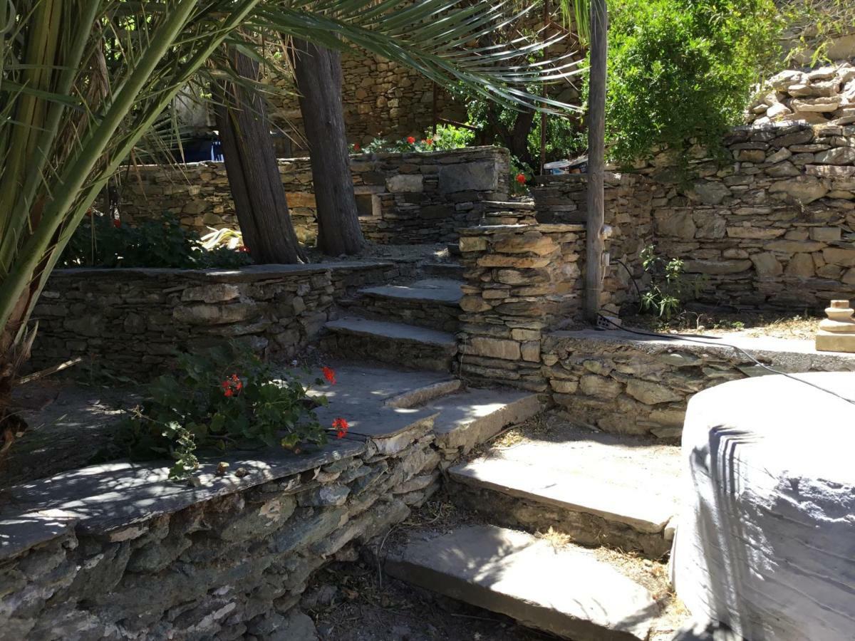 Katina's Garden Apartment Tinos